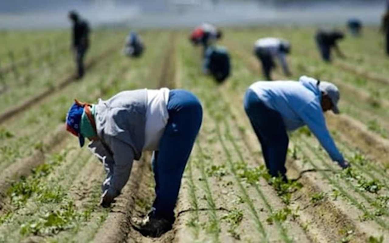 lavoratori-agricoli-69